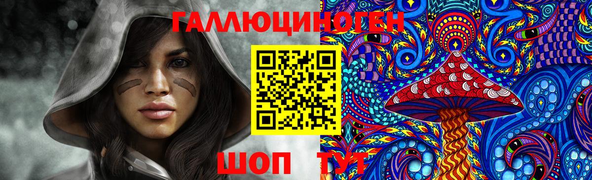Псилоцибиновые грибы Psilocybe Горячий Ключ