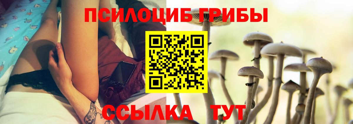 Горячий Ключ  Галлюциногенные грибы прущие грибы  Вход с VPN 